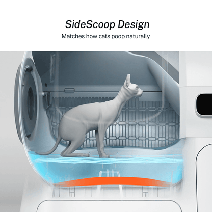 HomerunPet CS106 Self-Cleaning Litter Box – Hassle-Free Hygiene for Your Cat