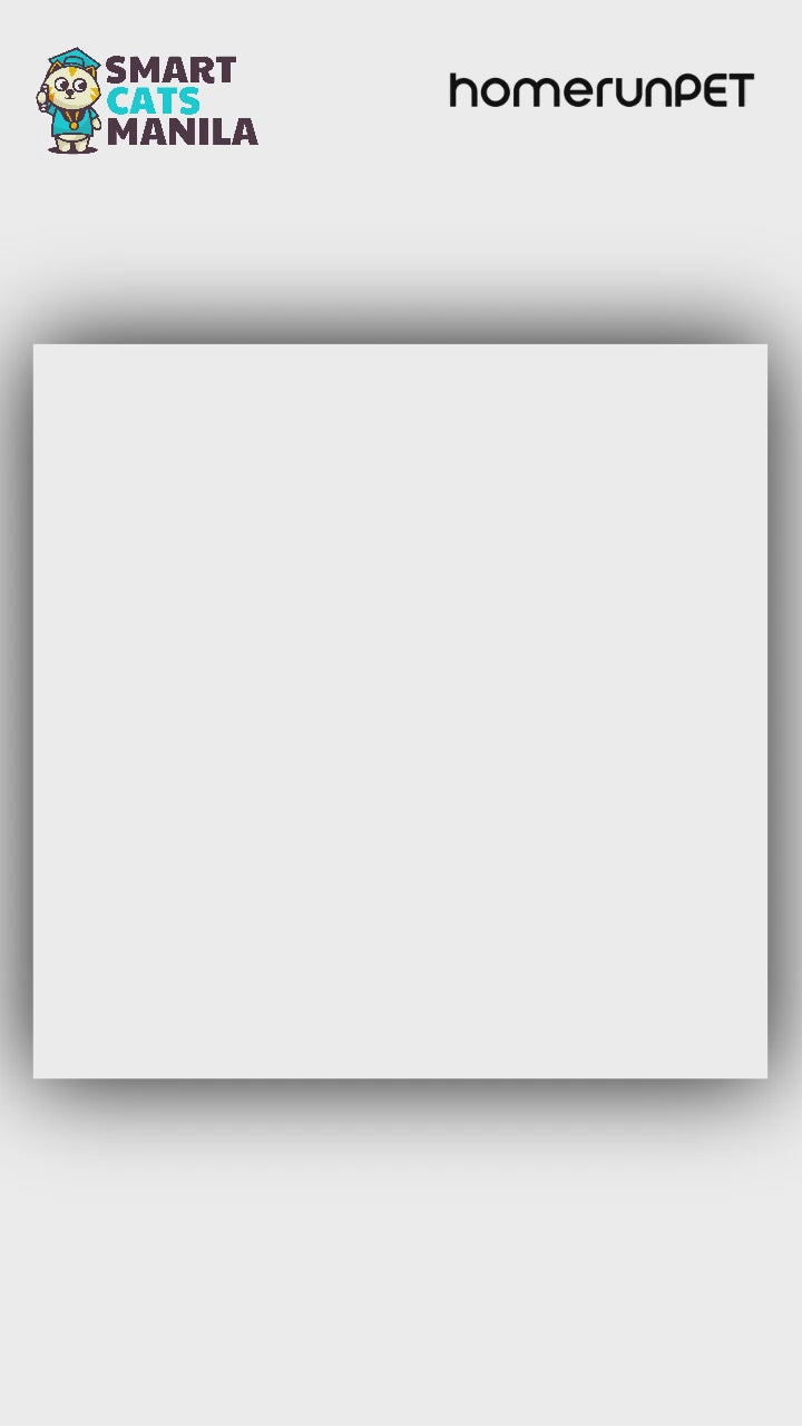 Load video: Product Video